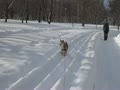 雪のせ散歩♪