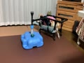 手作り犬用歩行器　１７才８か月柴犬女の子
