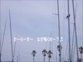 ２０２４．０６．０２　江ノ島ヨットハーバーの稼働状況（復）